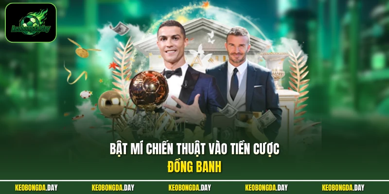 Bật mí chiến thuật vào tiền cược đồng banh