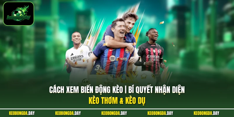 Cách xem biến động kèo