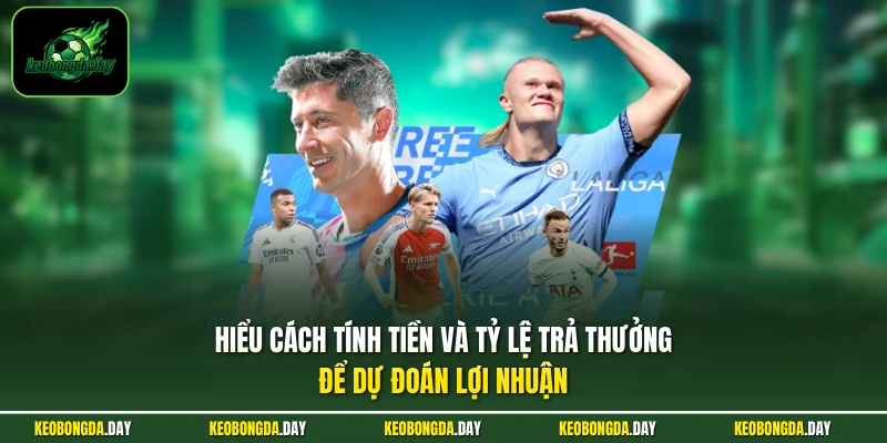 Hiểu cách tính tiền và tỷ lệ trả thưởng để dự đoán lợi nhuận