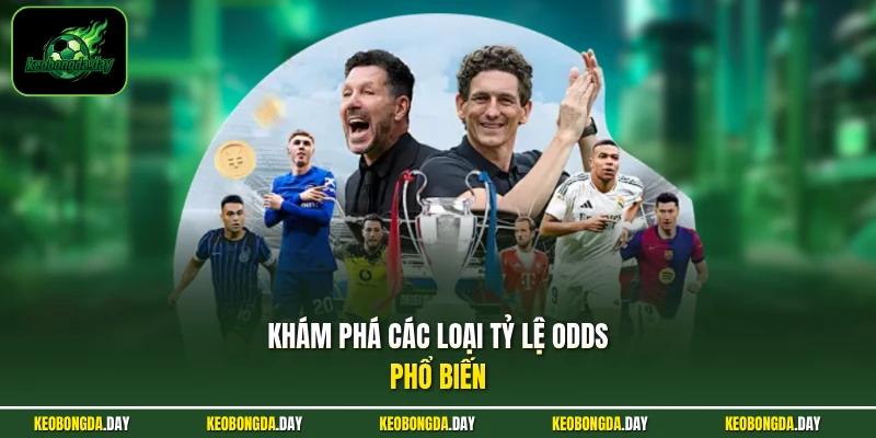 Khám phá các loại tỷ lệ Odds phổ biến