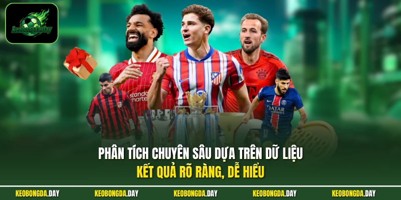 Phân tích chuyên sâu dựa trên dữ liệu kết quả rõ ràng, dễ hiểu