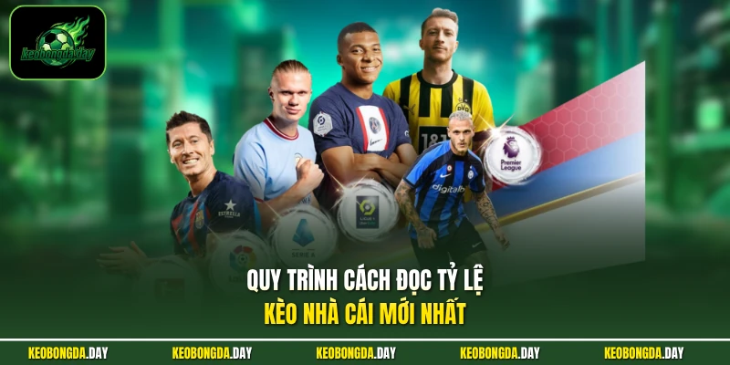Quy trình cách đọc tỷ lệ kèo nhà cái mới nhất