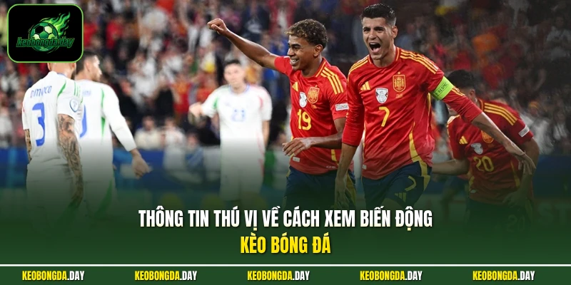 Thông tin thú vị về cách xem biến động kèo bóng đá