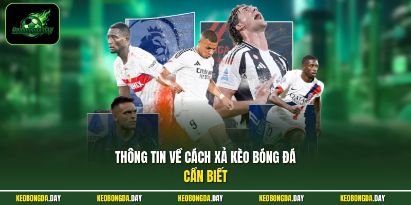 Thông tin về cách xả kèo bóng đá cần biết